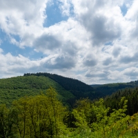 DSC05804